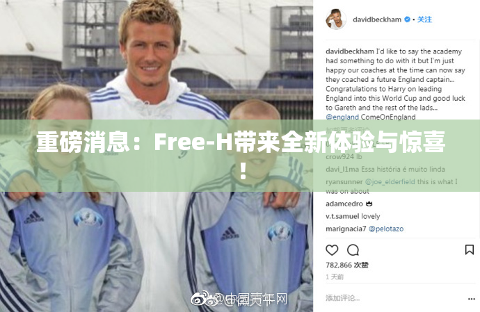 重磅消息：Free-H带来全新体验与惊喜！
