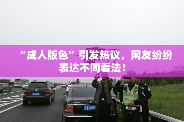 “成人版色”引发热议，网友纷纷表达不同看法！