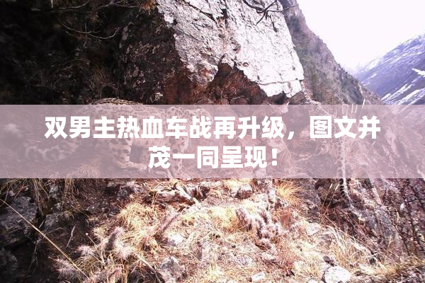 双男主热血车战再升级，图文并茂一同呈现！