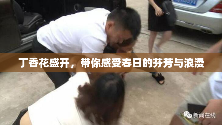 丁香花盛开，带你感受春日的芬芳与浪漫