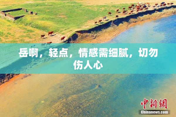 岳啊，轻点，情感需细腻，切勿伤人心