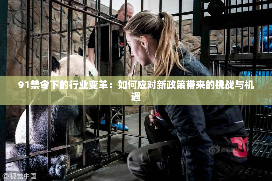 91禁令下的行业变革：如何应对新政策带来的挑战与机遇