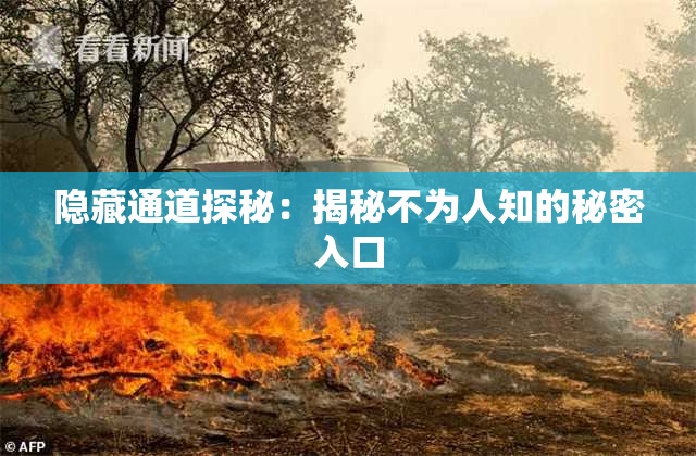 隐藏通道探秘：揭秘不为人知的秘密入口