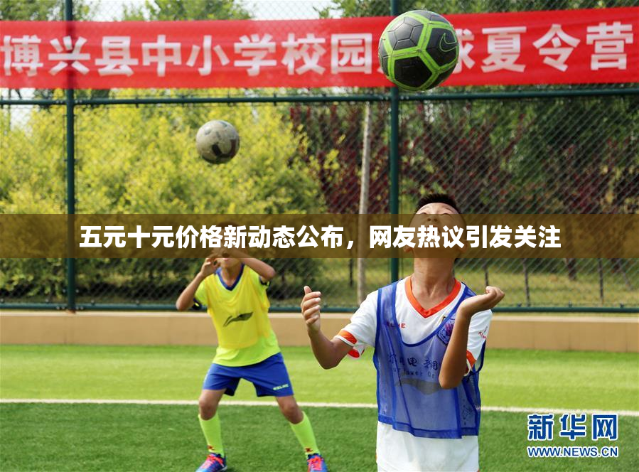 五元十元价格新动态公布，网友热议引发关注