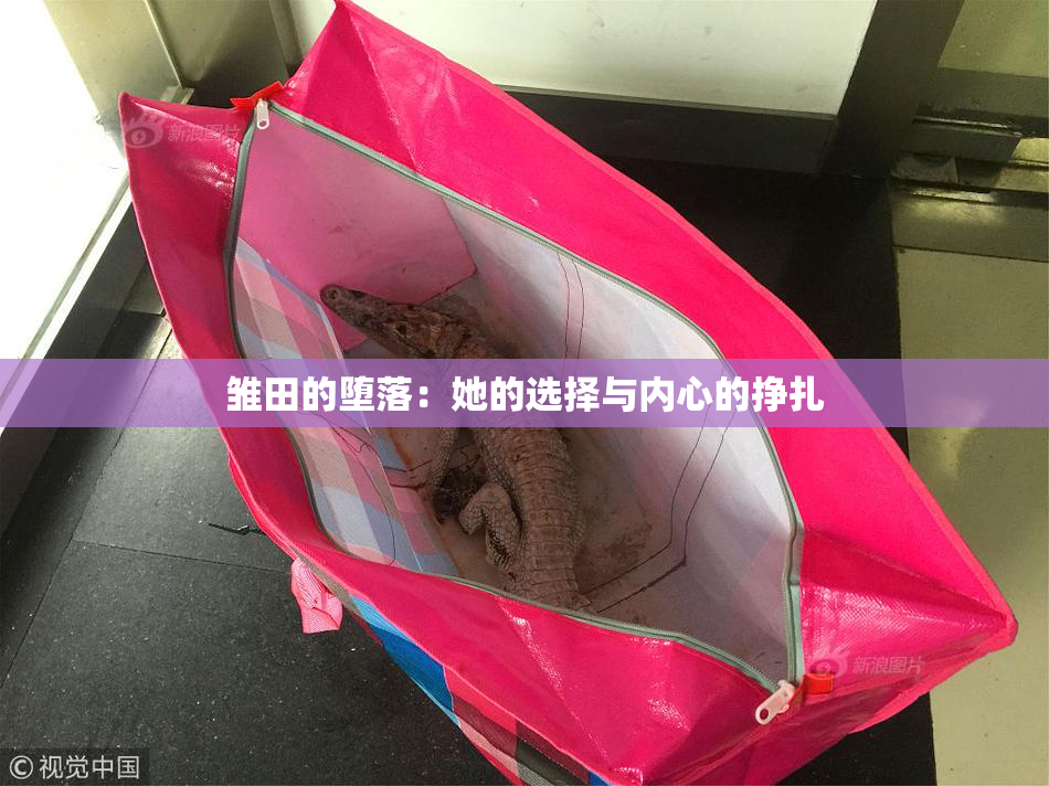 雏田的堕落：她的选择与内心的挣扎