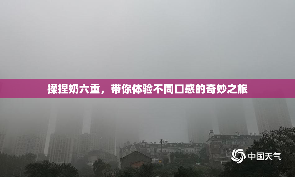 揉捏奶六重，带你体验不同口感的奇妙之旅