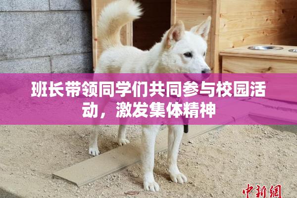 班长带领同学们共同参与校园活动，激发集体精神