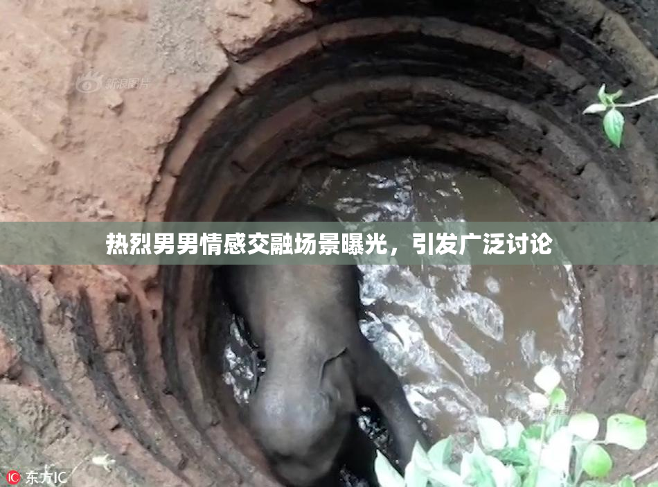 热烈男男情感交融场景曝光，引发广泛讨论