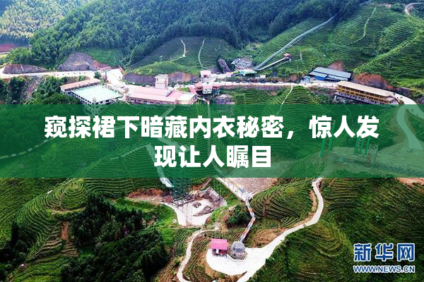 窥探裙下暗藏内衣秘密，惊人发现让人瞩目