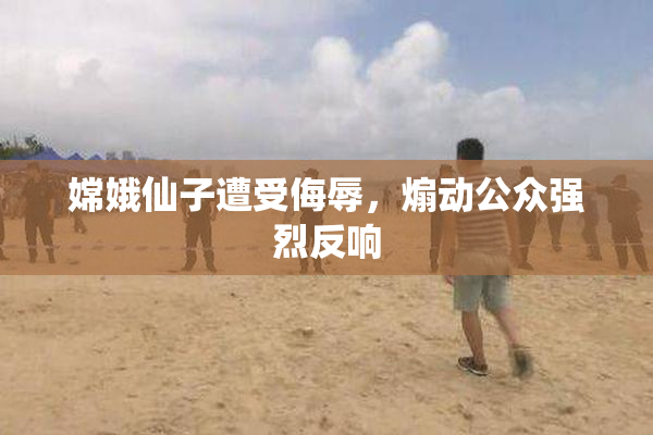嫦娥仙子遭受侮辱，煽动公众强烈反响