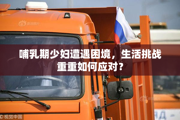 哺乳期少妇遭遇困境，生活挑战重重如何应对？
