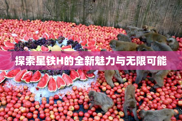 探索星铁H的全新魅力与无限可能