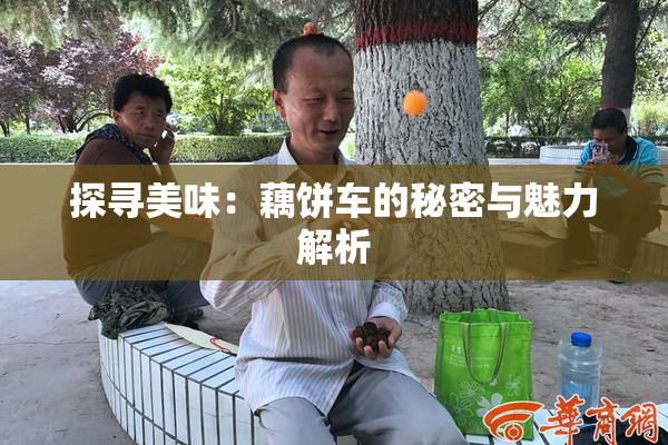 探寻美味：藕饼车的秘密与魅力解析