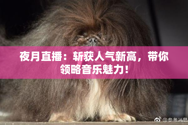 夜月直播：斩获人气新高，带你领略音乐魅力！