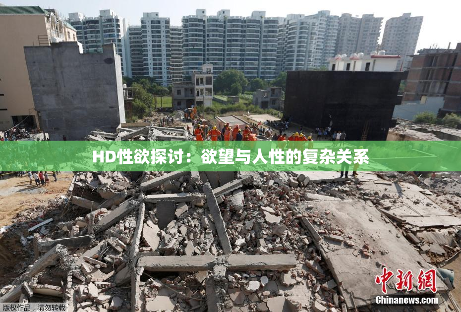 HD性欲探讨：欲望与人性的复杂关系