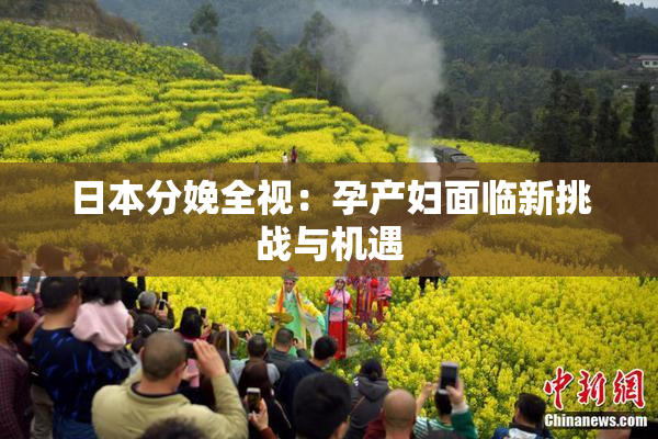 日本分娩全视：孕产妇面临新挑战与机遇