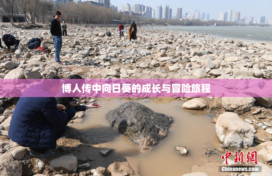 博人传中向日葵的成长与冒险旅程