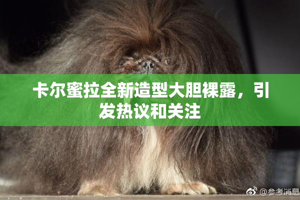 卡尔蜜拉全新造型大胆裸露，引发热议和关注