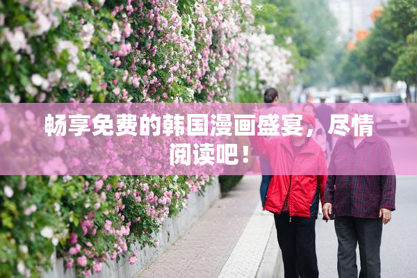 畅享免费的韩国漫画盛宴，尽情阅读吧！