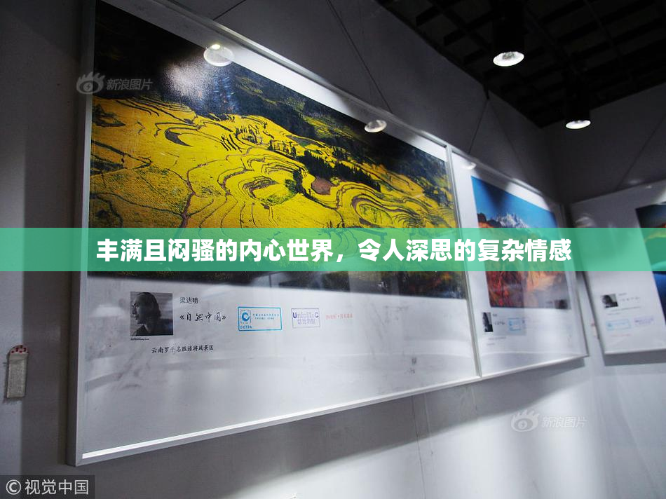 丰满且闷骚的内心世界，令人深思的复杂情感
