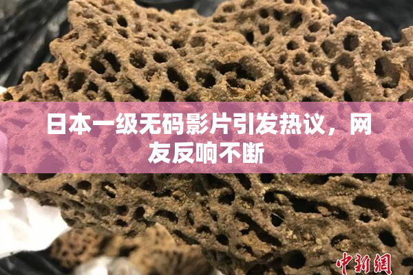 日本一级无码影片引发热议，网友反响不断