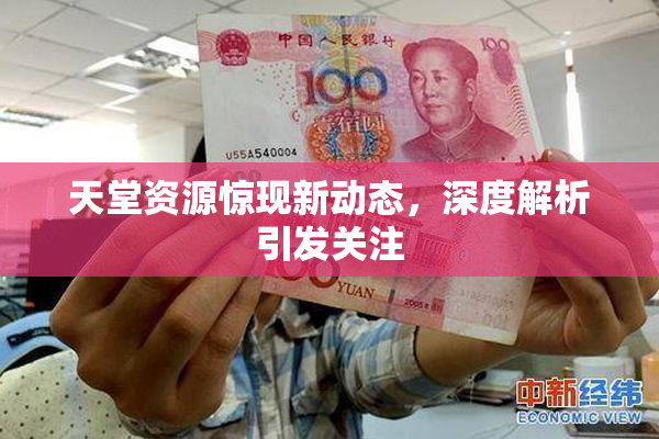 天堂资源惊现新动态，深度解析引发关注