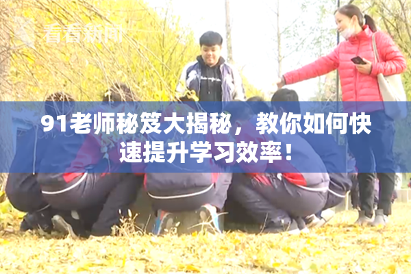 91老师秘笈大揭秘，教你如何快速提升学习效率！