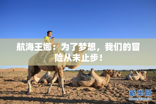 航海王娜：为了梦想，我们的冒险从未止步！