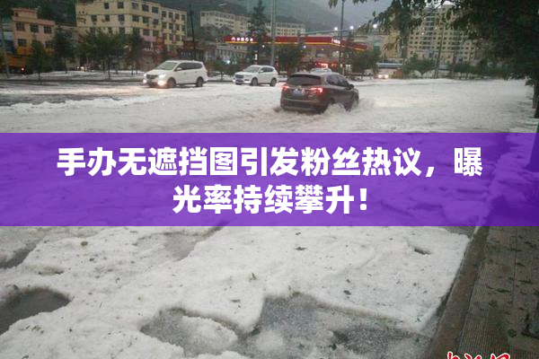 手办无遮挡图引发粉丝热议，曝光率持续攀升！