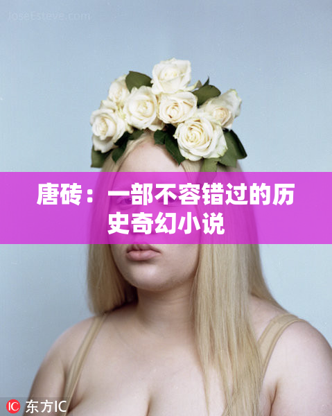 唐砖：一部不容错过的历史奇幻小说