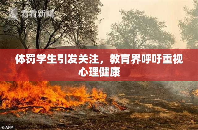 体罚学生引发关注，教育界呼吁重视心理健康