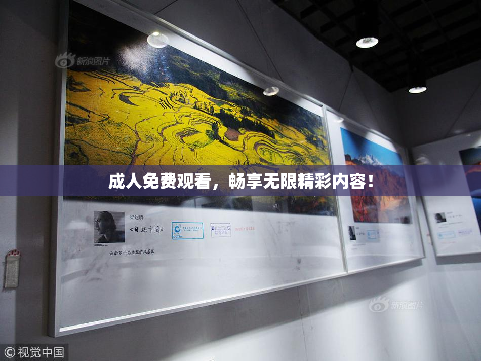 成人免费观看，畅享无限精彩内容！