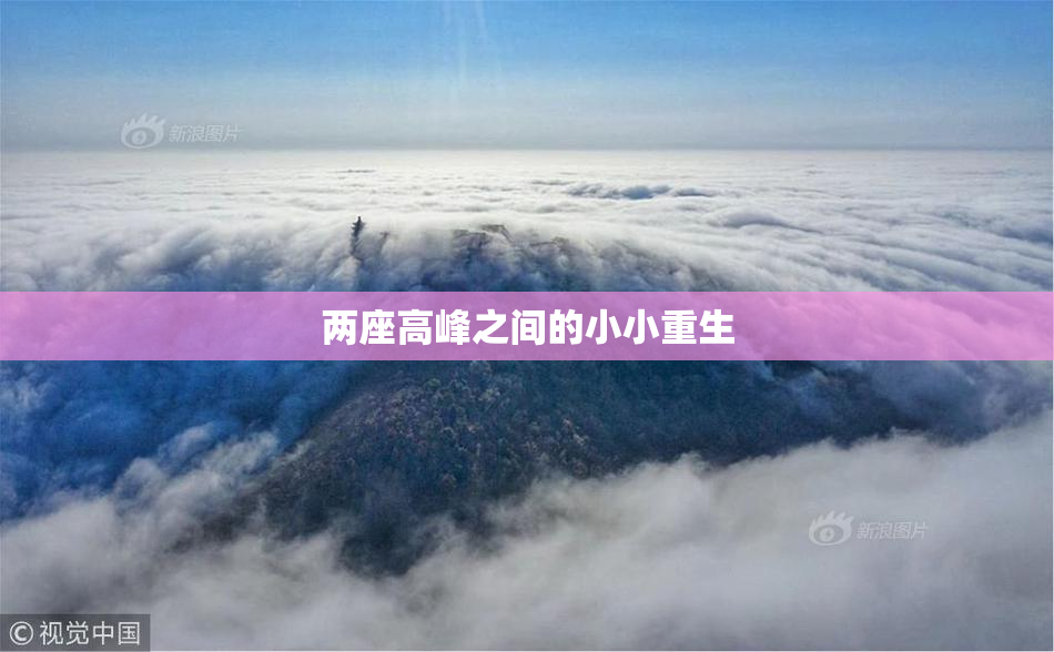 两座高峰之间的小小重生
