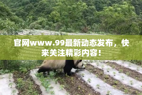 官网www.99最新动态发布，快来关注精彩内容！