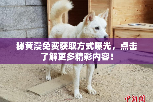 秘黄漫免费获取方式曝光，点击了解更多精彩内容！