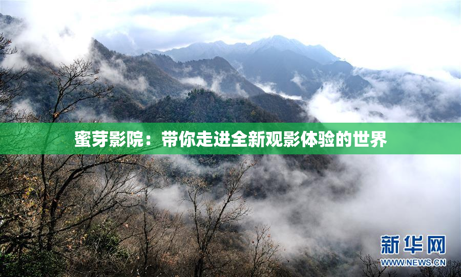 蜜芽影院：带你走进全新观影体验的世界