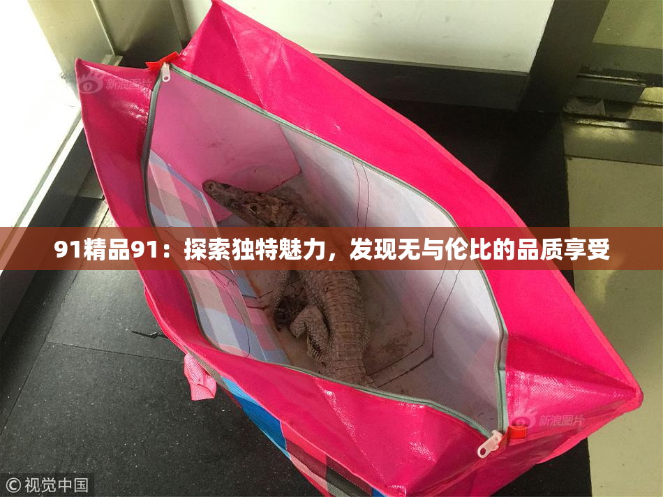 91精品91：探索独特魅力，发现无与伦比的品质享受