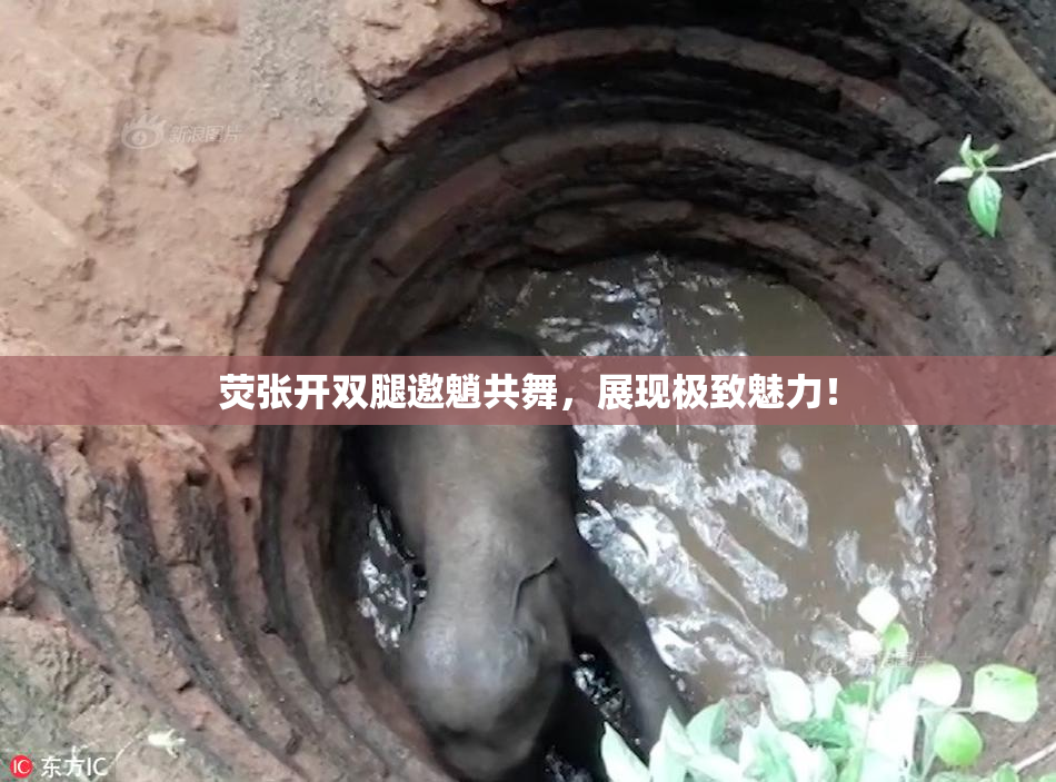 荧张开双腿邀魈共舞，展现极致魅力！