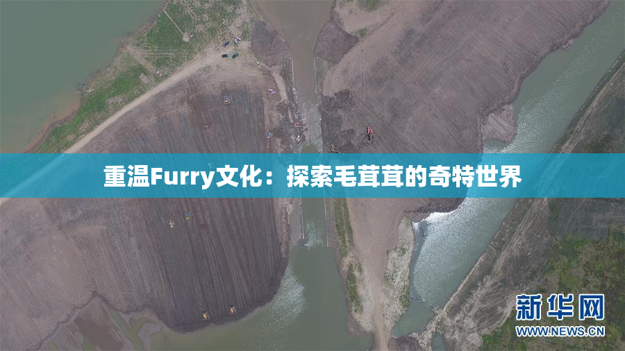 重温Furry文化：探索毛茸茸的奇特世界
