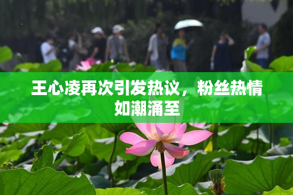 王心凌再次引发热议，粉丝热情如潮涌至