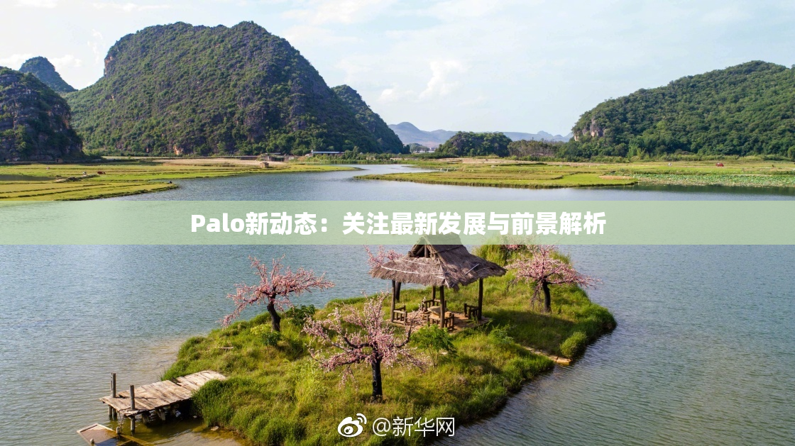 Palo新动态：关注最新发展与前景解析
