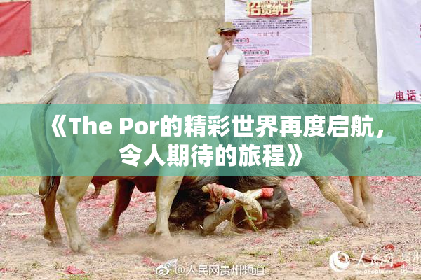 《The Por的精彩世界再度启航，令人期待的旅程》