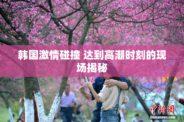 韩国激情碰撞 达到高潮时刻的现场揭秘