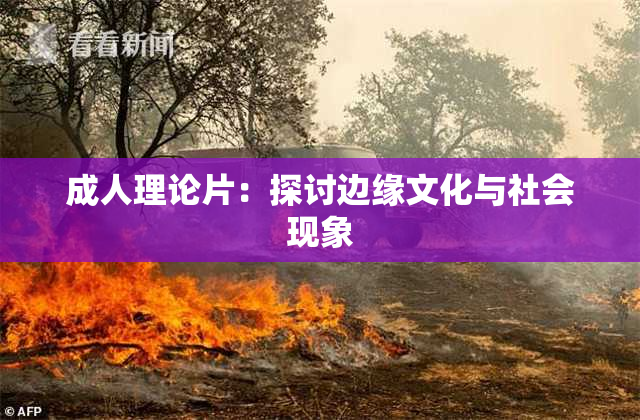 成人理论片：探讨边缘文化与社会现象