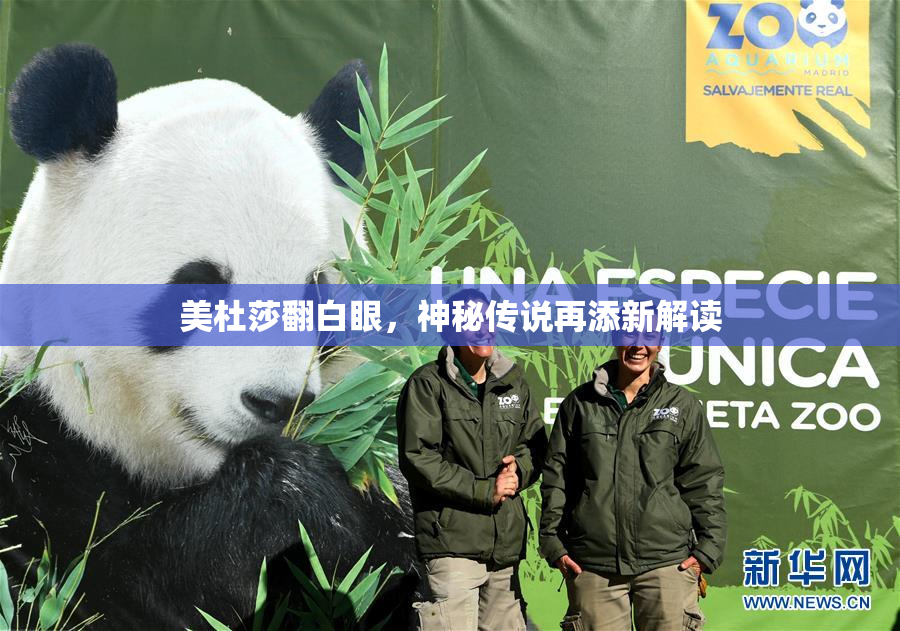 美杜莎翻白眼，神秘传说再添新解读