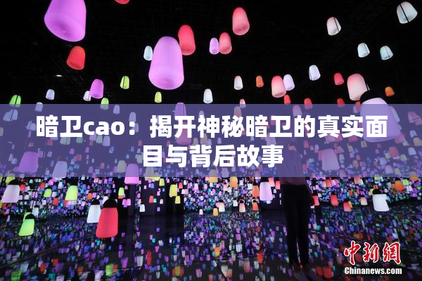 暗卫cao：揭开神秘暗卫的真实面目与背后故事