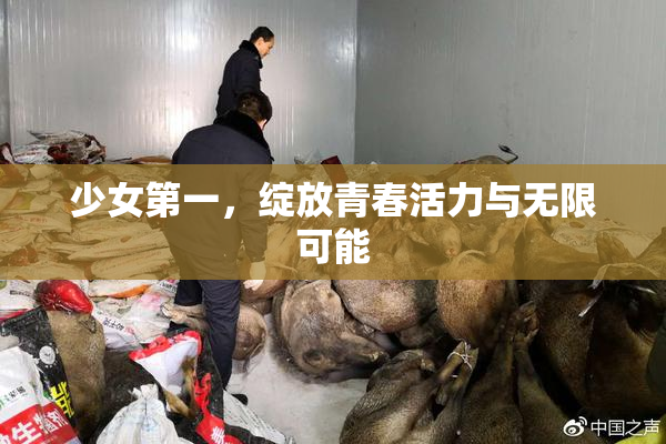 少女第一，绽放青春活力与无限可能