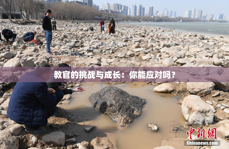 教官的挑战与成长：你能应对吗？