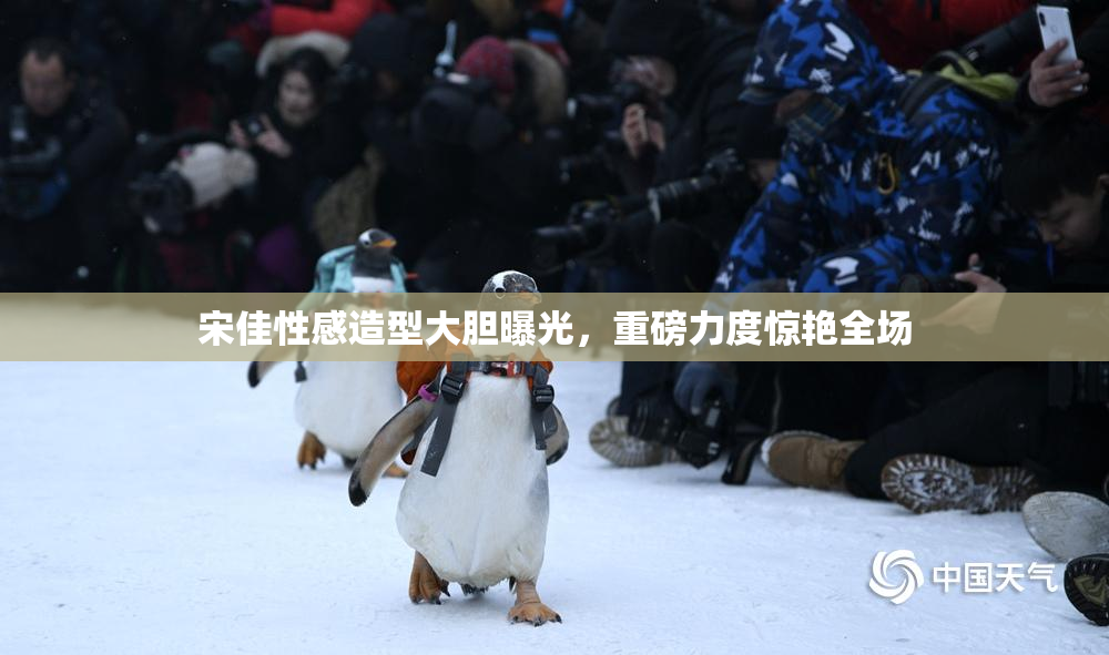 宋佳性感造型大胆曝光，重磅力度惊艳全场
