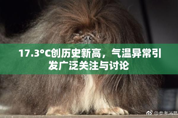 17.3°C创历史新高，气温异常引发广泛关注与讨论